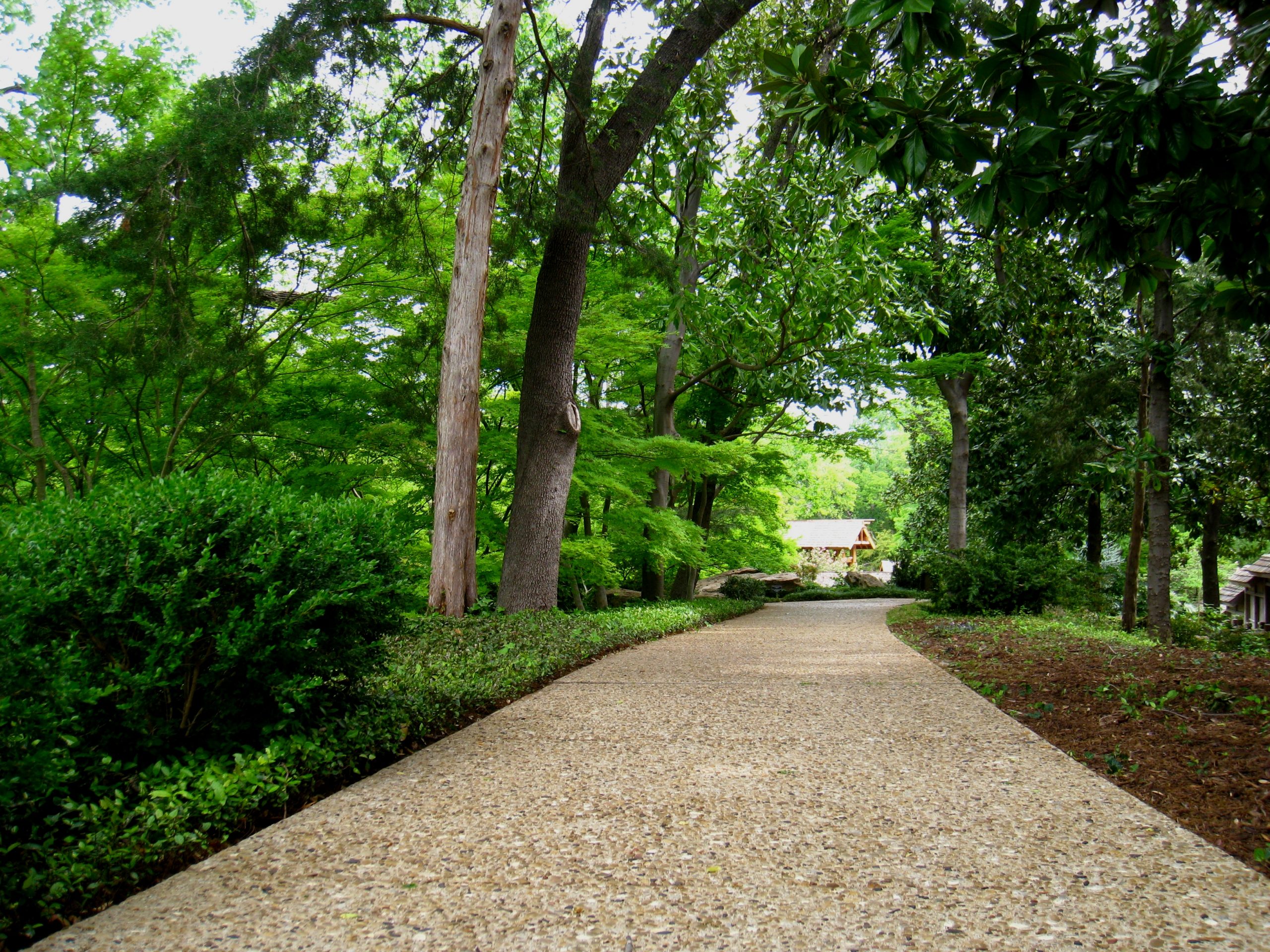 The path I have travelled Image of a path at the Japanese Gardens in the Fort Worth Arboretum.